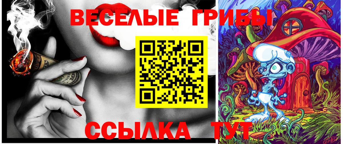 Галлюциногенные грибы Magic Shrooms  Псилоцибиновые грибы MAGIC MUSHROOMS  Хасавюрт  Вход с VPN 