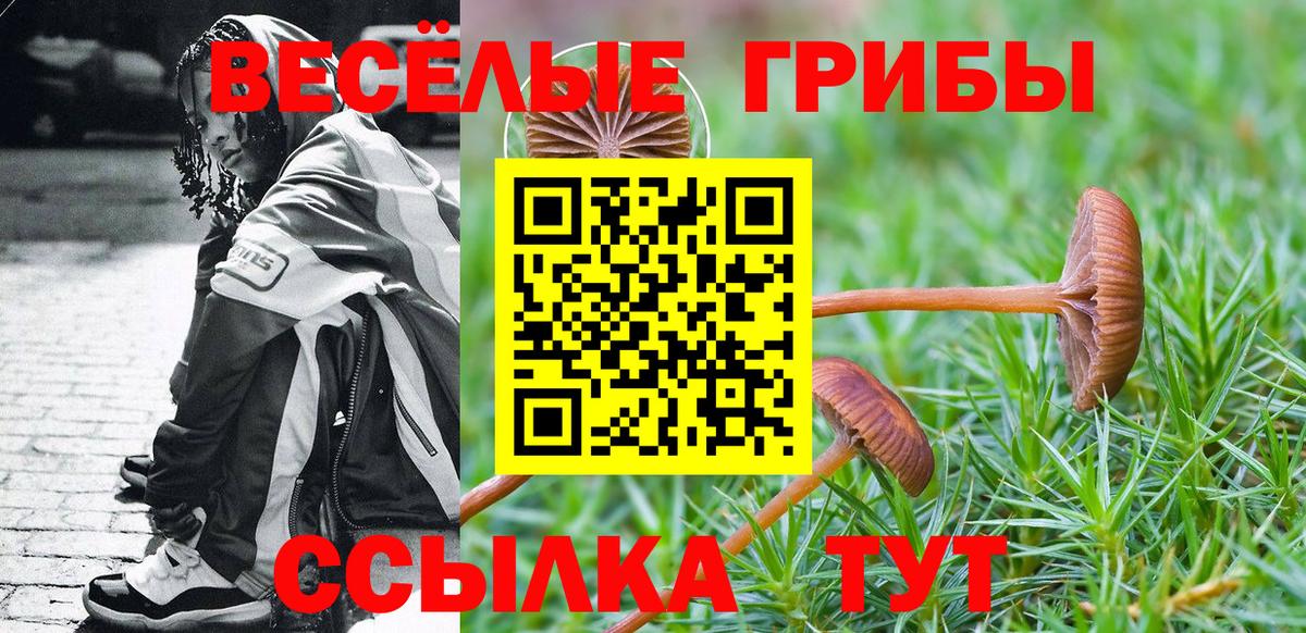 Галлюциногенные грибы прущие грибы Хасавюрт